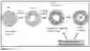 Fig. 02 - Compositions and methods of using nintedanib for treating ocular diseases with abnormal neovascularization