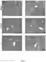 Fig. 06 - Compositions and methods for preparing and using mitochondrial uncouplers