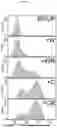 Fig. 17 - Compositions, systems, and methods for generating inner ear hair cells for treatment of hearing loss