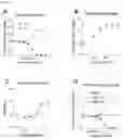 Fig. 02 - Compositions for treating spinal muscular atrophy