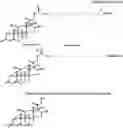 Fig. 01 - PHLIP®-MEDIATED TARGETING OF CORTICOSTEROIDS TO DISEASED TISSUE