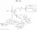 Fig. 22 - PHLIP®-MEDIATED TARGETING OF CORTICOSTEROIDS TO DISEASED TISSUE
