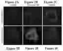 Fig. 03 - Methods for treating and preventing viral infections