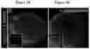 Fig. 04 - Methods for treating and preventing viral infections