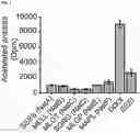 Fig. 02 - INHIBITORS