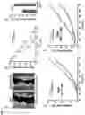 Fig. 09 - INHIBITORS