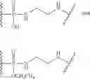 Fig. 28 - CYCLODEXTRIN-BASED POLYMERS FOR THERAPEUTIC DELIVERY