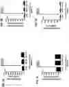 Fig. 03 - Methods for treatment using small molecule potassium-sparing diuretics and natriuretics