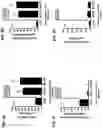 Fig. 05 - Methods for treatment using small molecule potassium-sparing diuretics and natriuretics