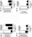 Fig. 13 - Methods for treatment using small molecule potassium-sparing diuretics and natriuretics
