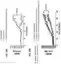 Fig. 19 - Methods for treatment using small molecule potassium-sparing diuretics and natriuretics
