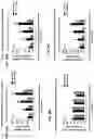 Fig. 41 - Methods for treatment using small molecule potassium-sparing diuretics and natriuretics