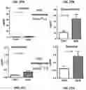 Fig. 42 - Methods for treatment using small molecule potassium-sparing diuretics and natriuretics