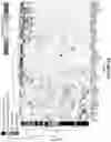 Fig. 30 - DETECTION OF METASTATIC DISEASE AND RELATED METHODS