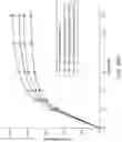 Fig. 18 - Combination formulation of three antiviral compounds