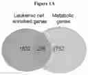 Fig. 02 - COMPOSITIONS AND METHODS FOR TREATING ACUTE MYELOID LEUKEMIA