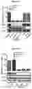 Fig. 09 - COMPOSITIONS AND METHODS FOR TREATING ACUTE MYELOID LEUKEMIA