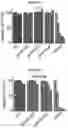 Fig. 28 - COMPOSITIONS AND METHODS FOR TREATING ACUTE MYELOID LEUKEMIA