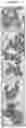 Fig. 37 - COMPOSITIONS AND METHODS FOR TREATING ACUTE MYELOID LEUKEMIA