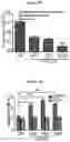 Fig. 40 - COMPOSITIONS AND METHODS FOR TREATING ACUTE MYELOID LEUKEMIA