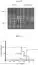 Fig. 68 - COMPOSITIONS AND METHODS FOR TREATING ACUTE MYELOID LEUKEMIA