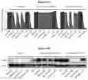 Fig. 79 - COMPOSITIONS AND METHODS FOR TREATING ACUTE MYELOID LEUKEMIA