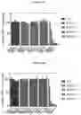 Fig. 82 - COMPOSITIONS AND METHODS FOR TREATING ACUTE MYELOID LEUKEMIA
