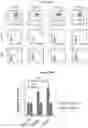 Fig. 87 - COMPOSITIONS AND METHODS FOR TREATING ACUTE MYELOID LEUKEMIA
