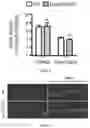 Fig. 06 - METHODS FOR TREATING NEUROMUSCULAR JUNCTION-RELATED DISEASES