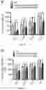 Fig. 32 - METHODS FOR TREATING NEUROMUSCULAR JUNCTION-RELATED DISEASES