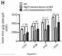 Fig. 33 - METHODS FOR TREATING NEUROMUSCULAR JUNCTION-RELATED DISEASES