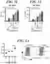 Fig. 04 - METHODS AND COMPOSITIONS FOR MODULATING THE IMMUNE SYSTEM