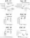 Fig. 06 - METHODS AND COMPOSITIONS FOR MODULATING THE IMMUNE SYSTEM