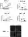 Fig. 07 - METHODS AND COMPOSITIONS FOR MODULATING THE IMMUNE SYSTEM