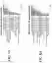Fig. 11 - METHODS AND COMPOSITIONS FOR MODULATING THE IMMUNE SYSTEM