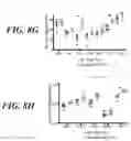 Fig. 19 - METHODS AND COMPOSITIONS FOR MODULATING THE IMMUNE SYSTEM