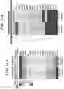 Fig. 27 - METHODS AND COMPOSITIONS FOR MODULATING THE IMMUNE SYSTEM
