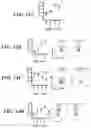Fig. 31 - METHODS AND COMPOSITIONS FOR MODULATING THE IMMUNE SYSTEM