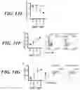 Fig. 32 - METHODS AND COMPOSITIONS FOR MODULATING THE IMMUNE SYSTEM