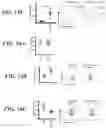 Fig. 35 - METHODS AND COMPOSITIONS FOR MODULATING THE IMMUNE SYSTEM
