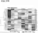 Fig. 40 - METHODS AND COMPOSITIONS FOR MODULATING THE IMMUNE SYSTEM