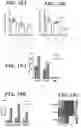Fig. 41 - METHODS AND COMPOSITIONS FOR MODULATING THE IMMUNE SYSTEM