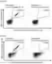Fig. 16 - Peptides and combination of peptides of non-canonical origin for use in immunotherapy against different types of cancers