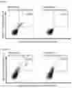 Fig. 17 - Peptides and combination of peptides of non-canonical origin for use in immunotherapy against different types of cancers