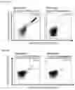 Fig. 15 - Peptides and combination of peptides of non-canonical origin for use in immunotherapy against different types of cancers