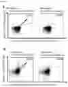 Fig. 22 - Peptides and scaffolds for use in immunotherapy against head and neck squamous cell carcinoma and other cancers