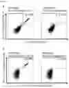 Fig. 23 - Peptides and scaffolds for use in immunotherapy against head and neck squamous cell carcinoma and other cancers