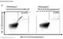 Fig. 24 - Peptides and scaffolds for use in immunotherapy against head and neck squamous cell carcinoma and other cancers