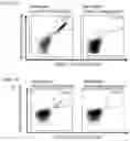 Fig. 15 - Peptides and combination of peptides of non-canonical origin for use in immunotherapy against different types of cancers