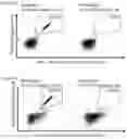 Fig. 16 - Peptides and combination of peptides of non-canonical origin for use in immunotherapy against different types of cancers